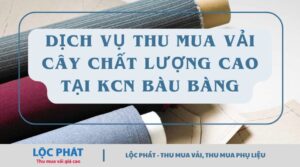 thu mua vải cây KCN Bàu Bàng