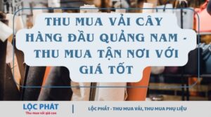 thu mua vải cây Quảng Nam