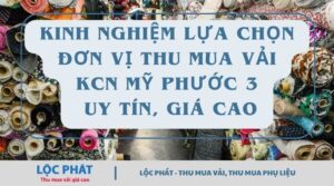thu mua vải KCN Mỹ Phước 3