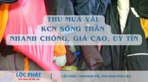 Thu Mua Vải KCN Sóng Thần