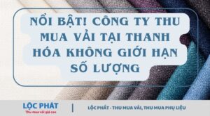 thu mua vải Thanh Hóa