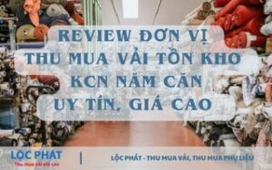 thu mua vải tồn kho KCN Năm Căn